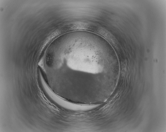 X0000067870386200604171229