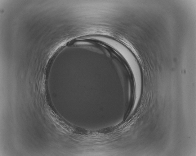 X0000067870387200604171229