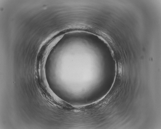 X0000067870388200604171229