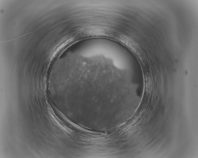 X0000067870390200604171229