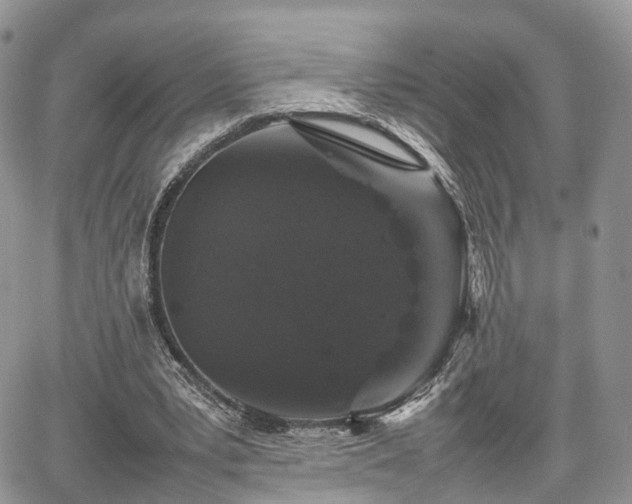 X0000067870391200604171229