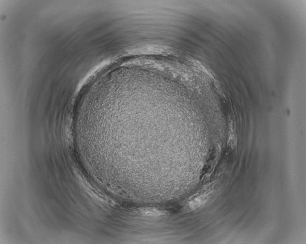 X0000067870392200604171229