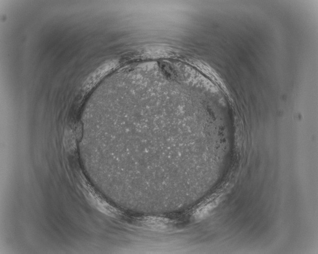 X0000067870393200604171229