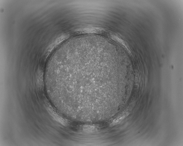 X0000067870394200604171229