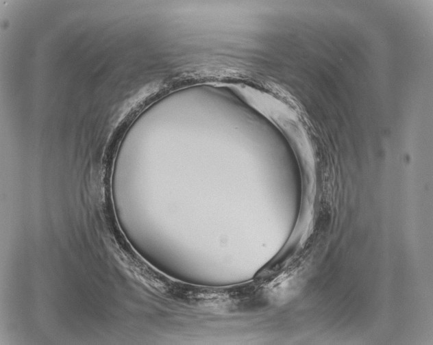 X0000067870395200604171229