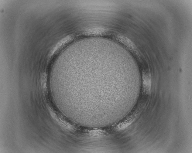 X0000067870396200604171229