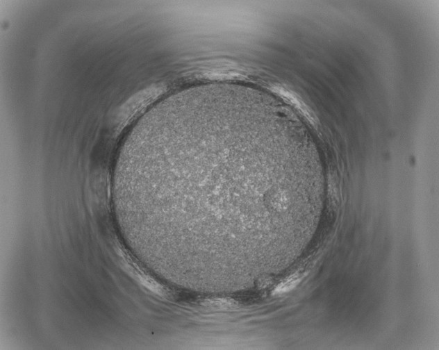 X0000067870397200604171229