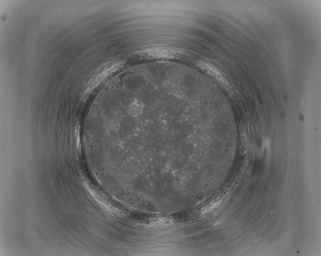 X0000067870398200604171229