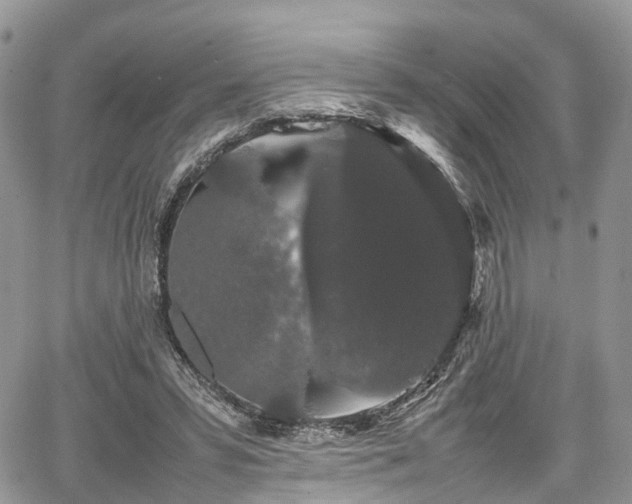 X0000067870399200604171229