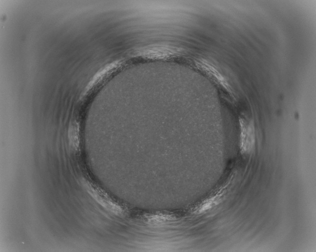 X0000067870400200604171229