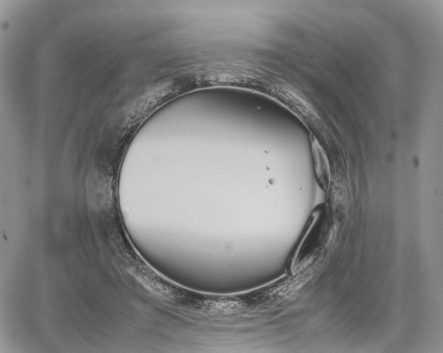 X0000067870401200604171229