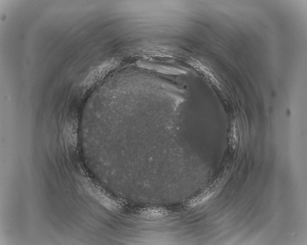 X0000067870402200604171229