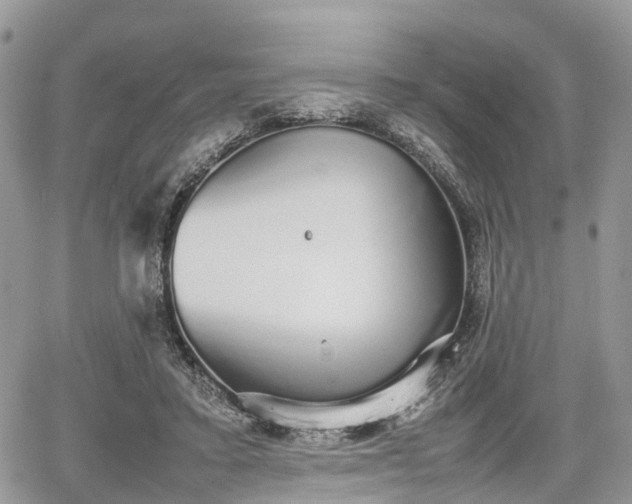 X0000067870403200604171229