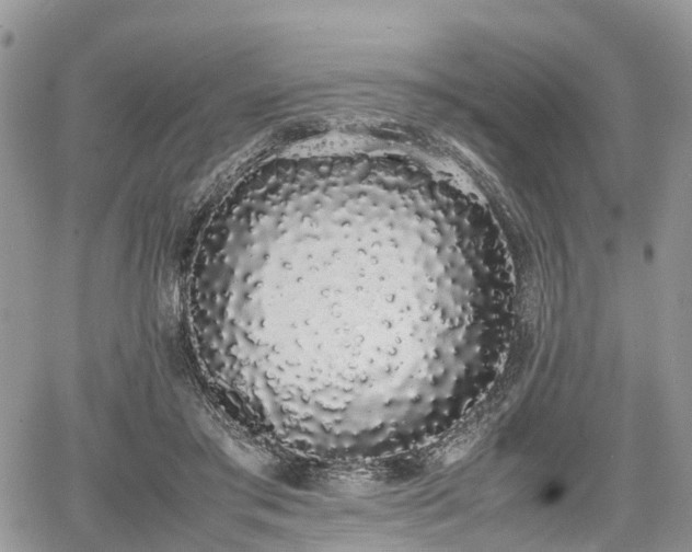 X0000067870405200604171229