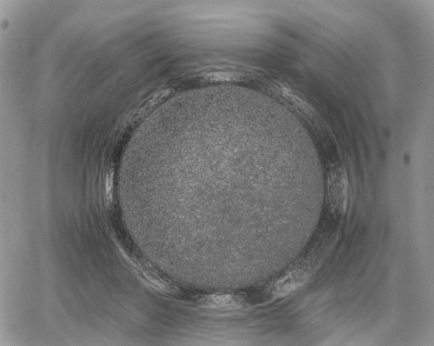 X0000067870406200604171229