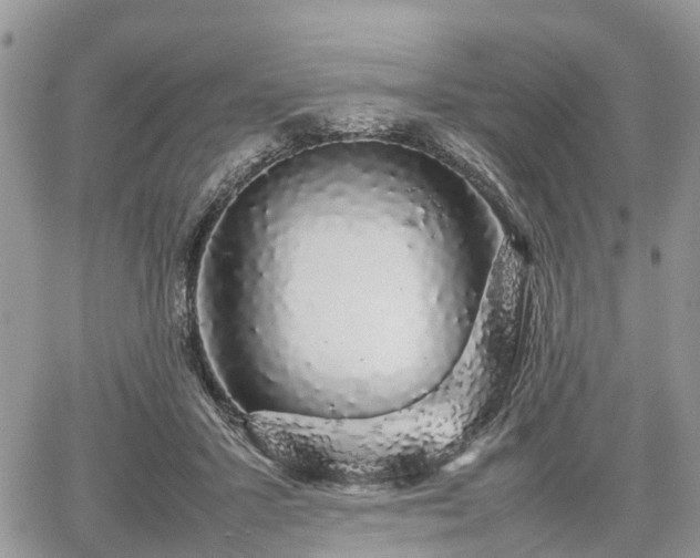 X0000067870407200604171229