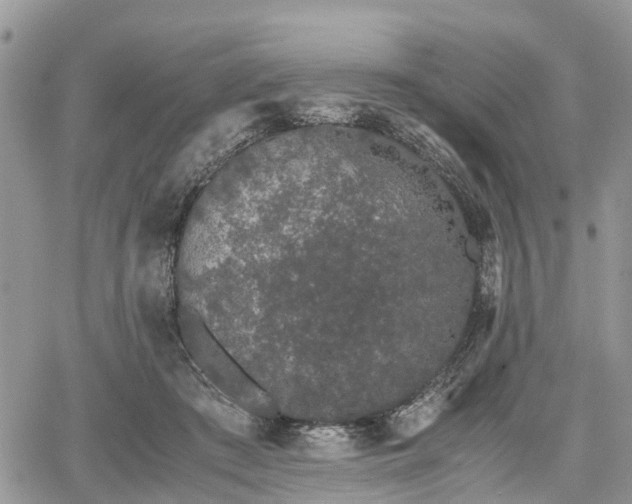 X0000067870409200604171229