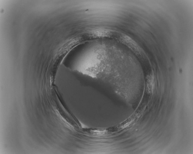 X0000067870410200604171229