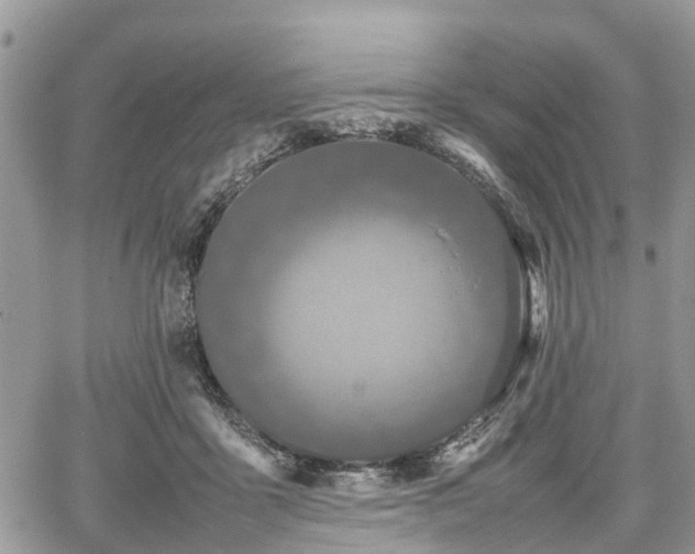 X0000067870411200604171229