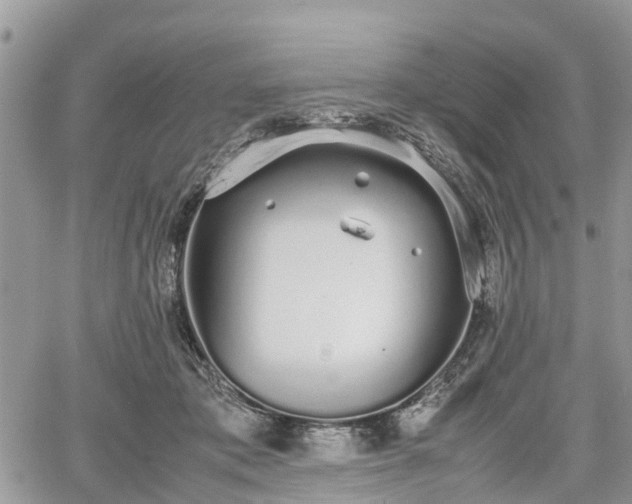 X0000067870413200604171229