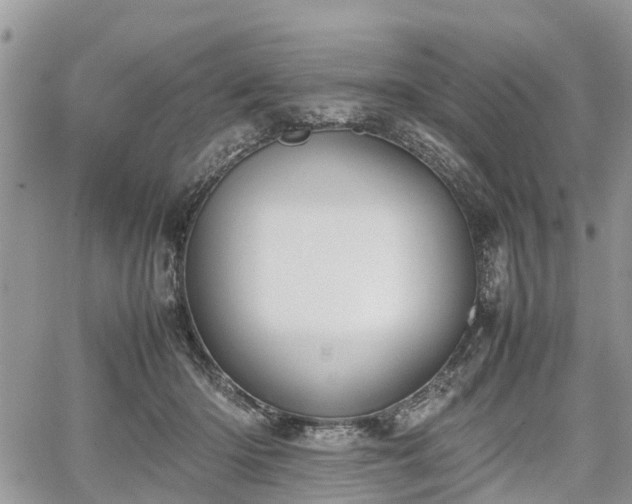 X0000067870414200604171229