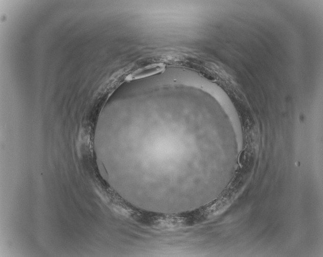 X0000067870415200604171229