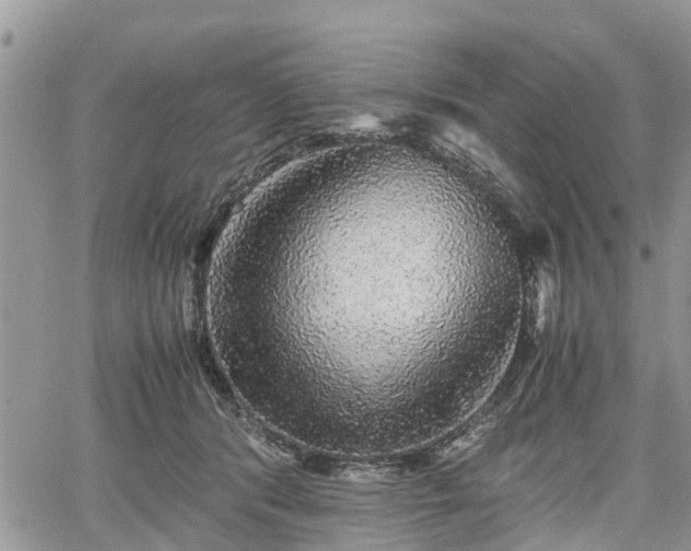 X0000067870416200604171229