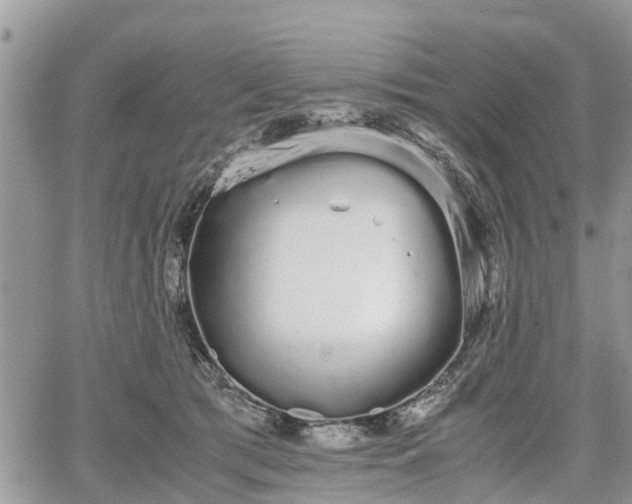 X0000067870417200604171229