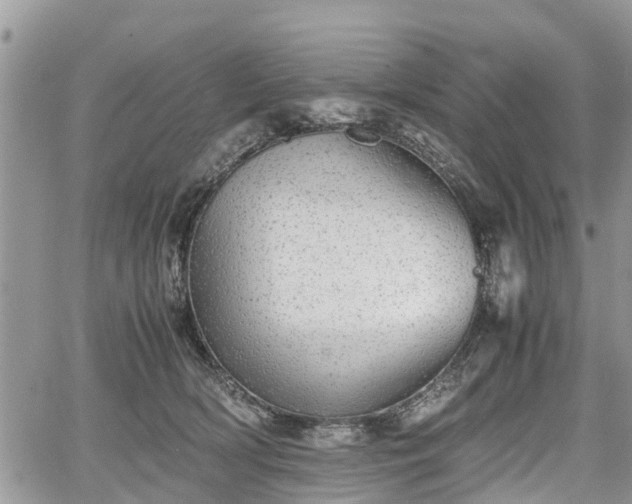 X0000067870418200604171229