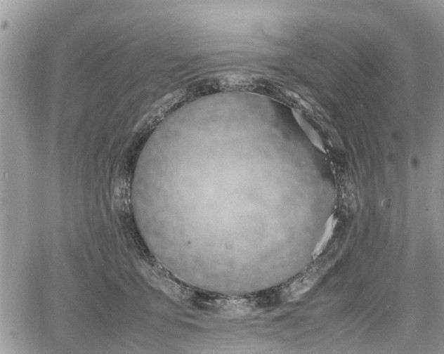 X0000067870419200604171229