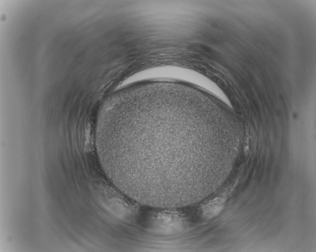 X0000067870420200604171229