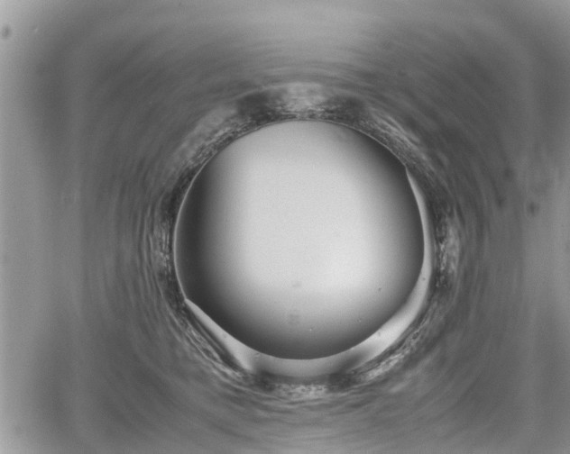 X0000067870421200604171229