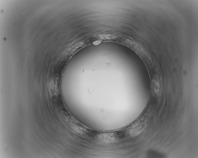 X0000067870422200604171229