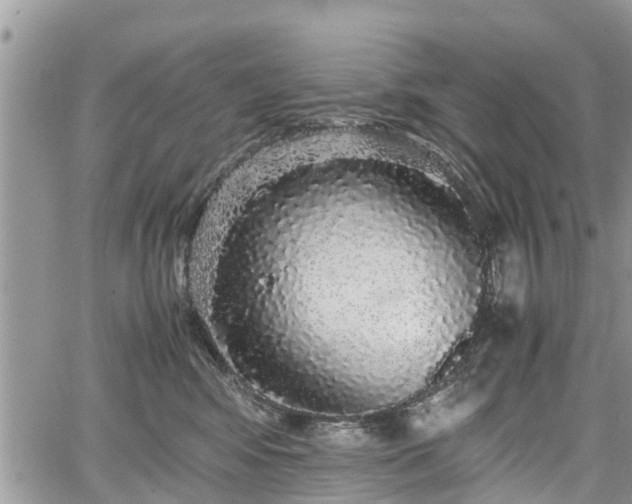 X0000067870424200604171229