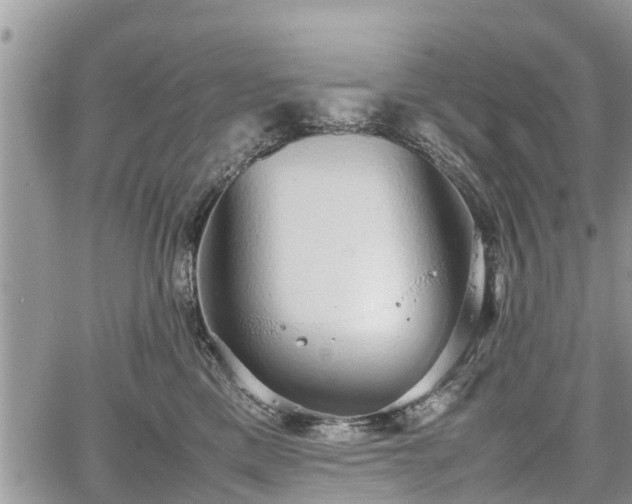 X0000067870425200604171229