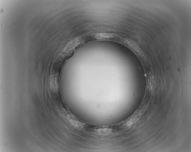 X0000067870426200604171229