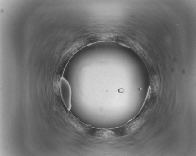 X0000067870427200604171229