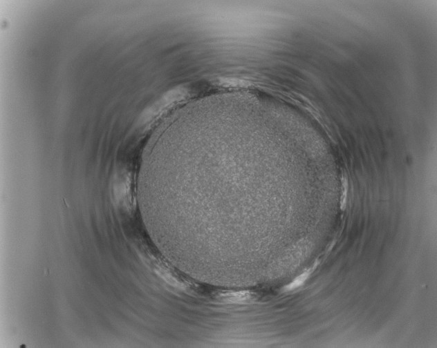 X0000067870428200604171229