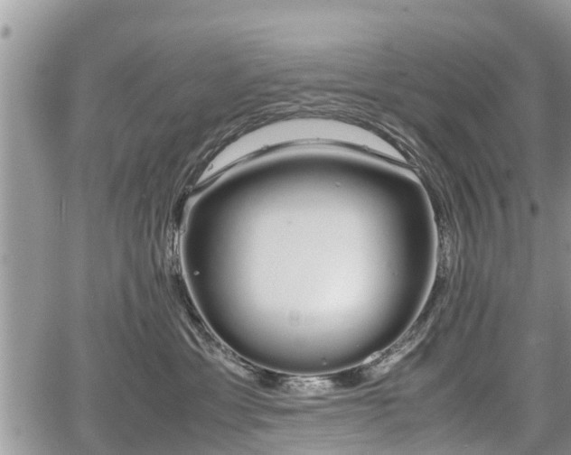 X0000067870429200604171229