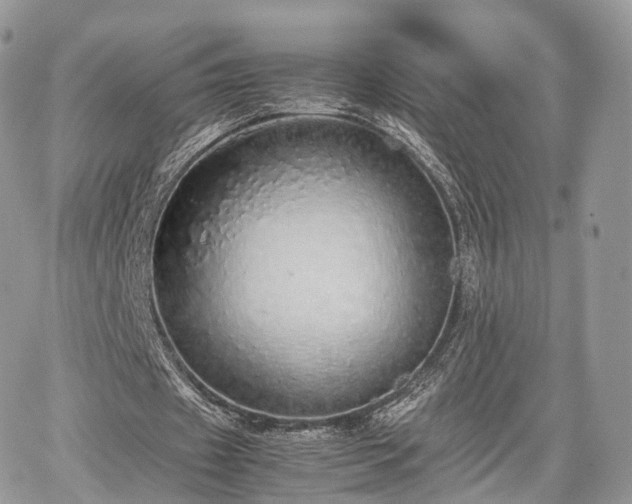 X0000067870433200604171228