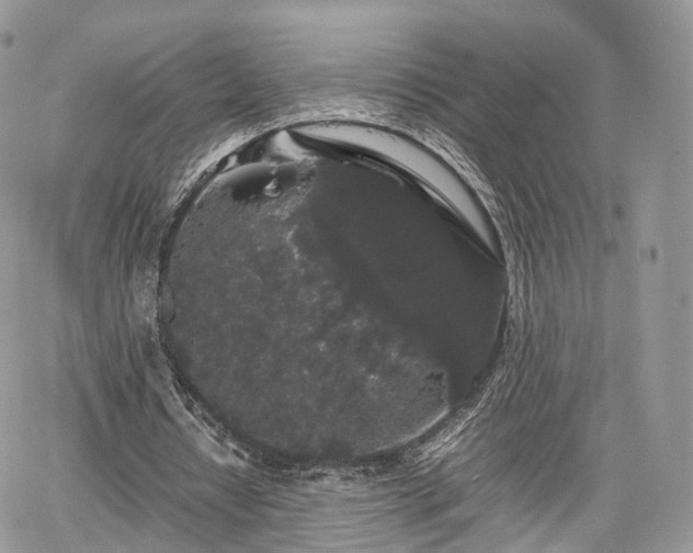 X0000067870434200604171228