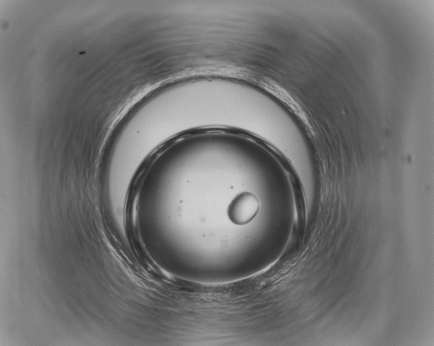 X0000067870436200604171228