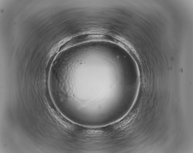 X0000067870437200604171228