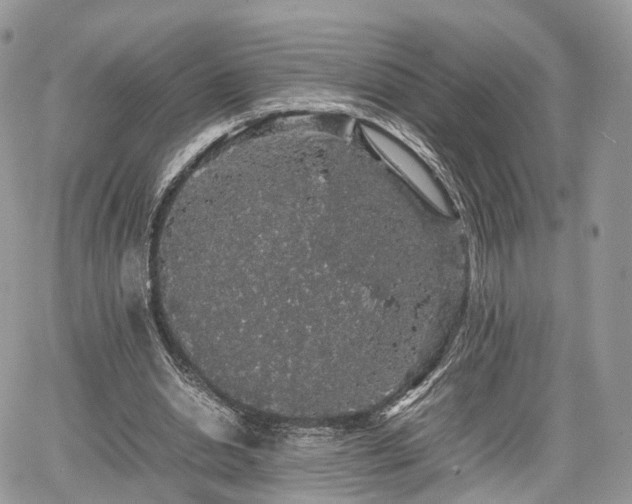 X0000067870438200604171228