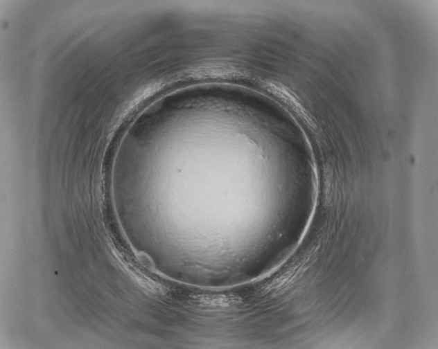 X0000067870439200604171228