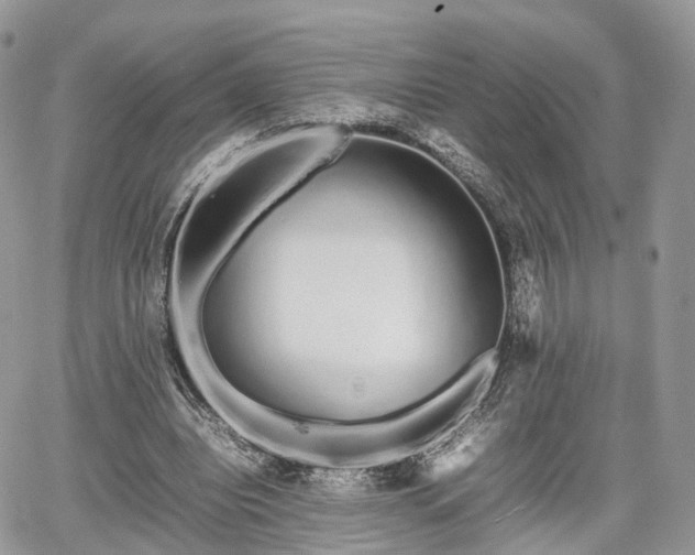 X0000067870440200604171228