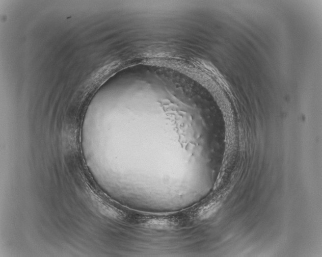 X0000067870441200604171228