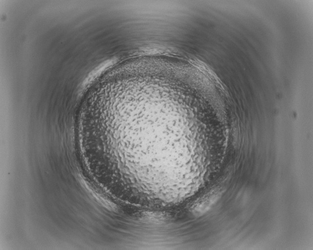 X0000067870442200604171228