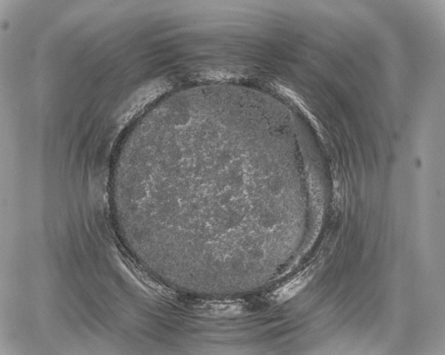 X0000067870443200604171228