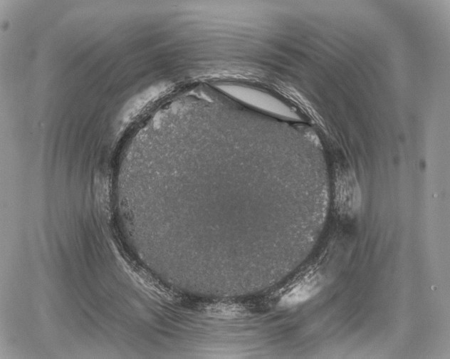 X0000067870444200604171228